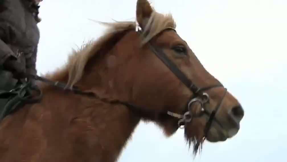 Klik for at se videoen "Stor kærlighed"