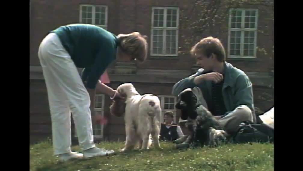 Klik for at se videoen "Døves Hunde-Club 1984"