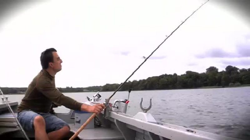 Klik for at se videoen "Vild med fisk"