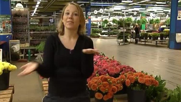 Klik for at se videoen "Camilla besøger blomstertorvet"