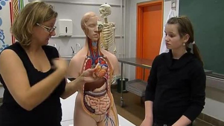 Klik for at se videoen "Om organdonation "