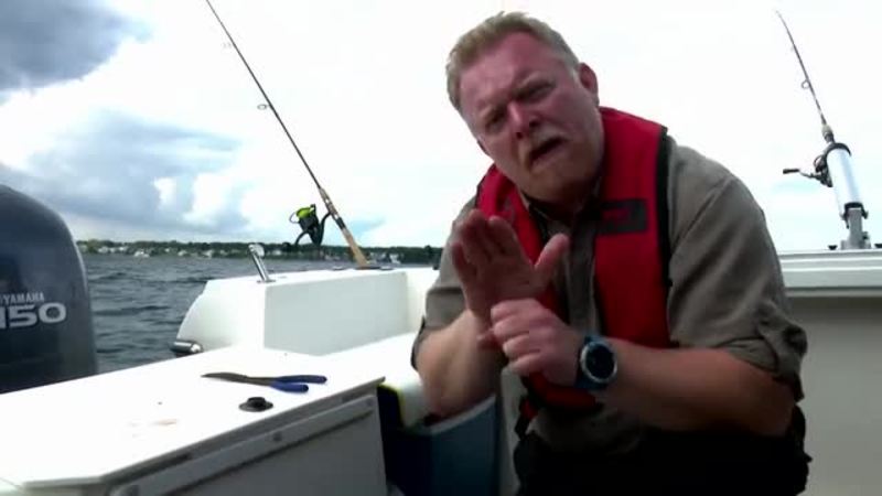 Klik for at se videoen "Fisk, fred og frihed (3:3)"