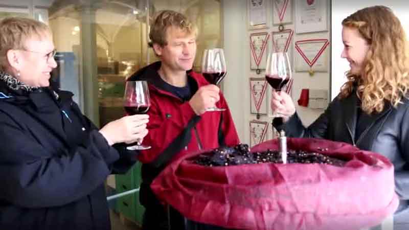 Klik for at se videoen "Vild med vin (2:5)"