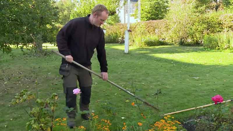 Klik for at se videoen "Efterår i haven: Klargøring til vinteren"