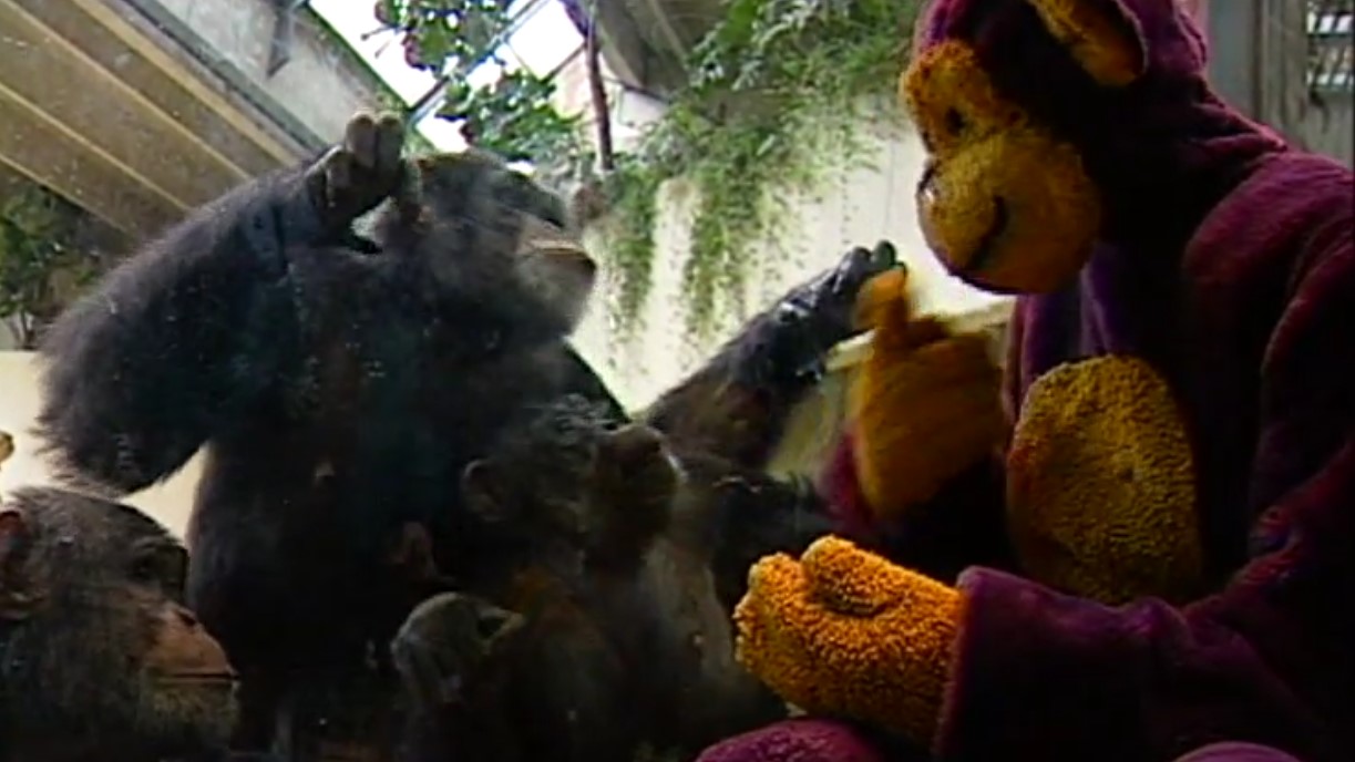Klik for at se videoen ""Hvad nu hvis" - Zoologisk Have"