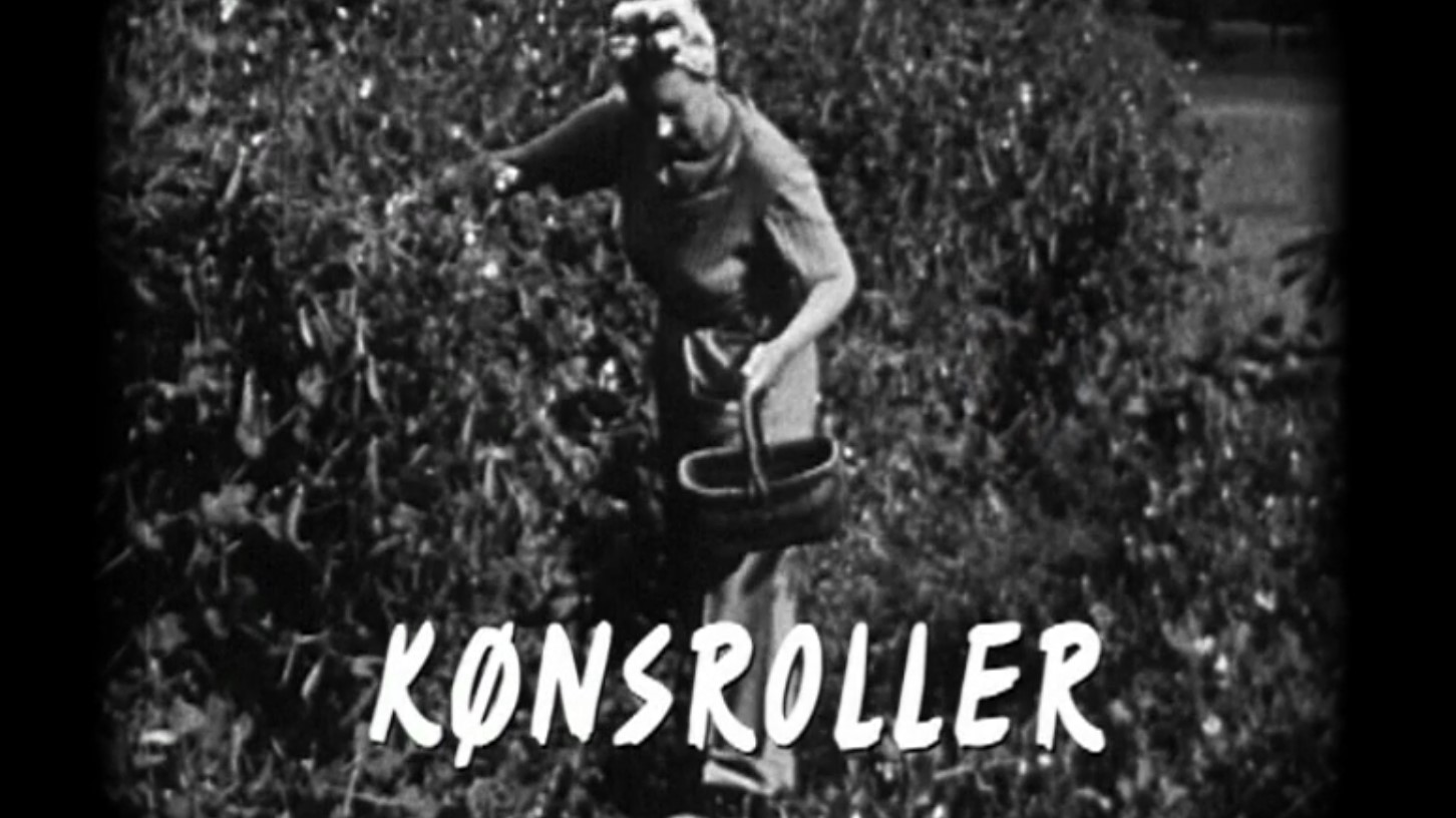 Klik for at se videoen "Kønsroller (1:6)"