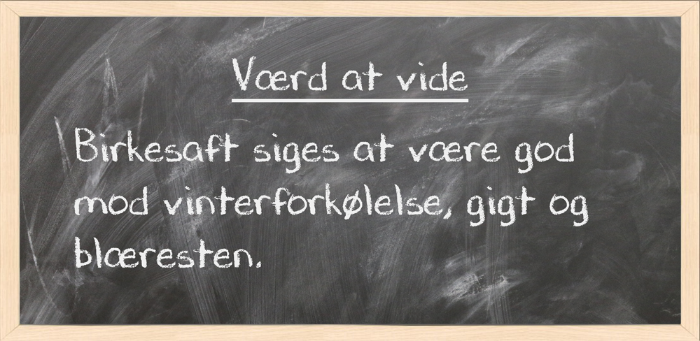 birkesaft1tavle 
