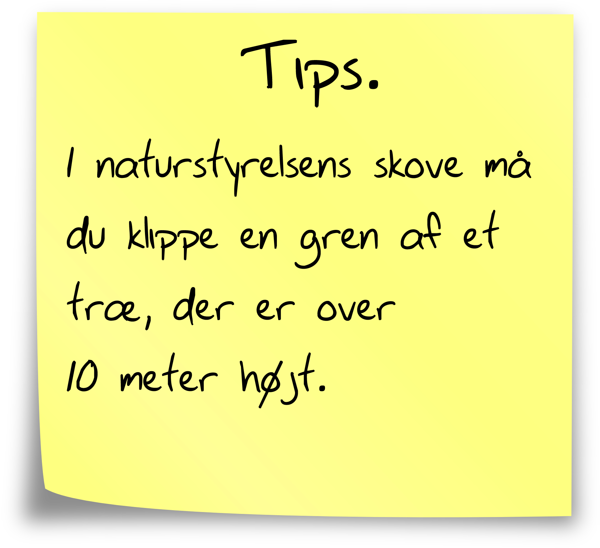 birktip1