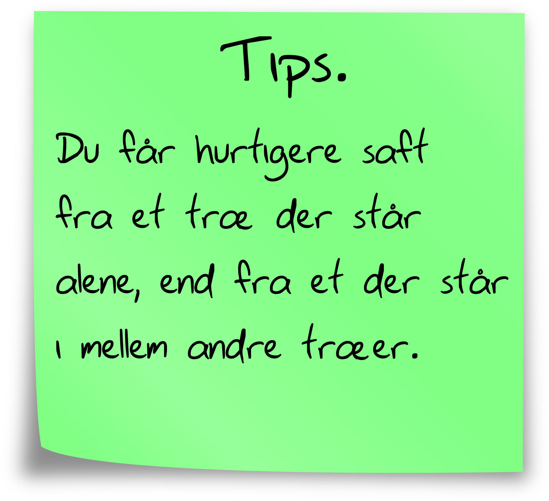 birktip2