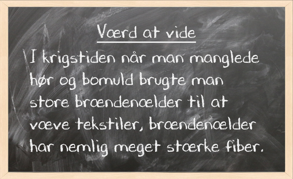 brændenælde1tavle