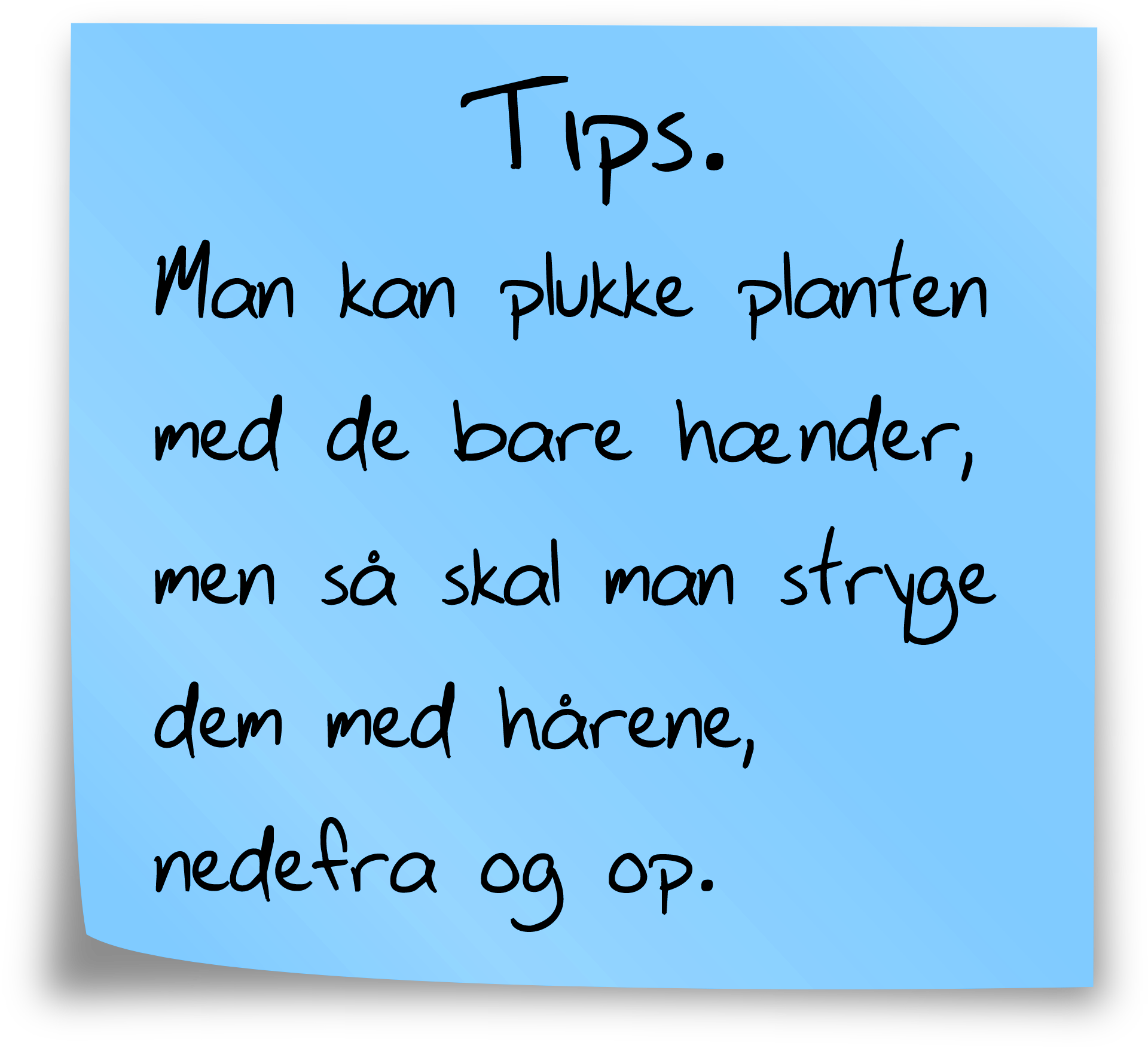 brændenældetip2