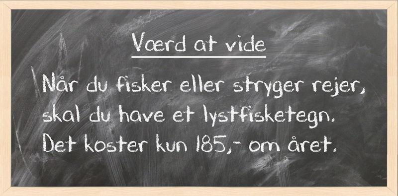 fjordreje1tavle