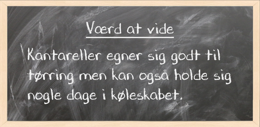 kanterel1tavle