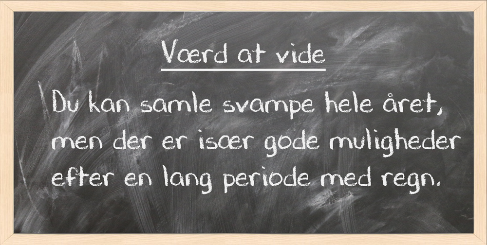 kanterel2tavle
